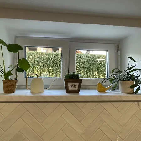 Home-in Apartma